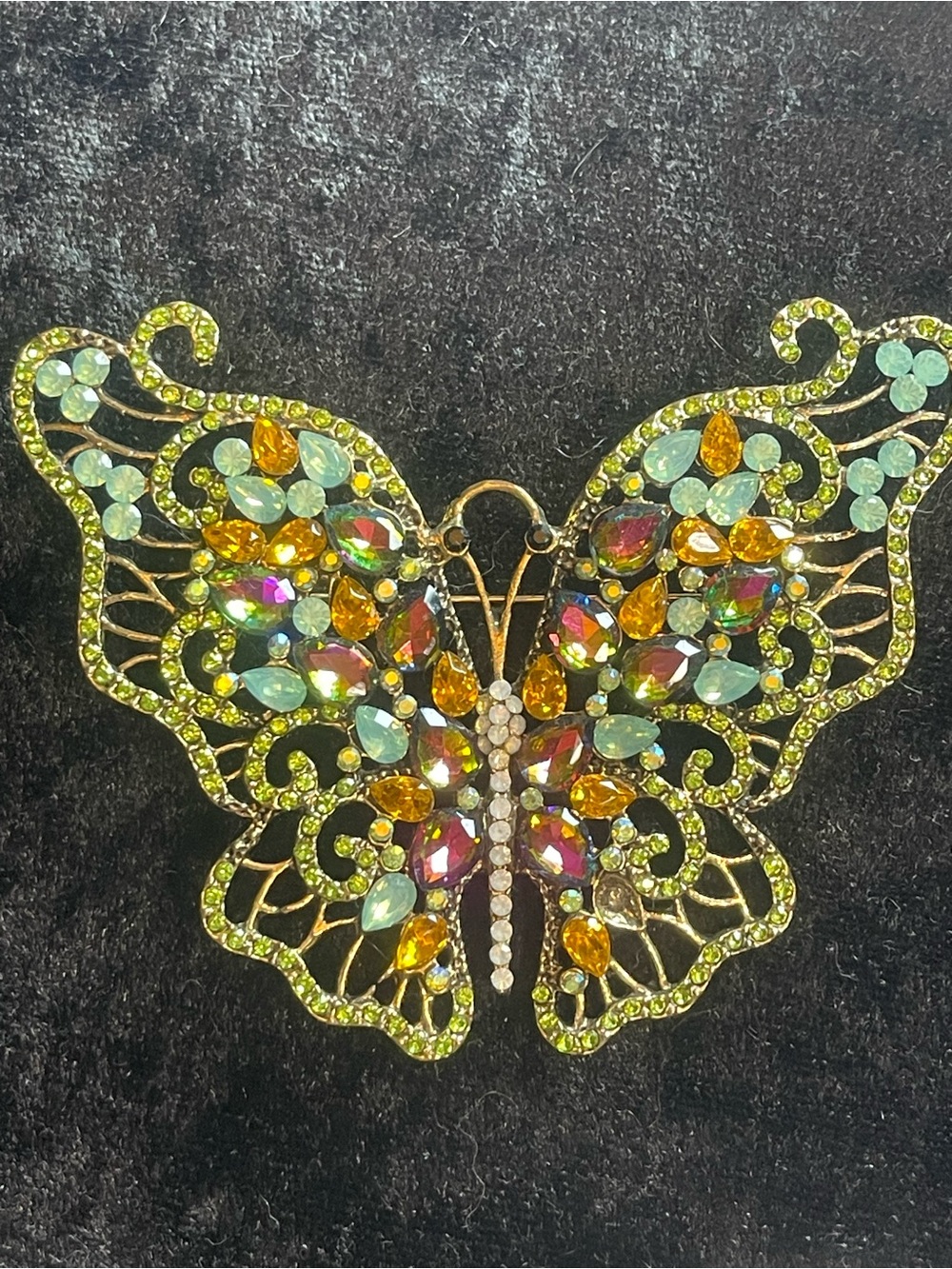 Big butterfly brooch